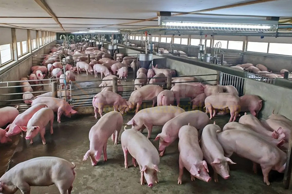  有機肥生產線技術方案，農村有機肥廠的投資和利潤分析