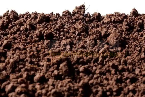 蚯蚓吃秸稈牛糞豬糞解決環保，蚯蚓糞制成有機肥料創富生財